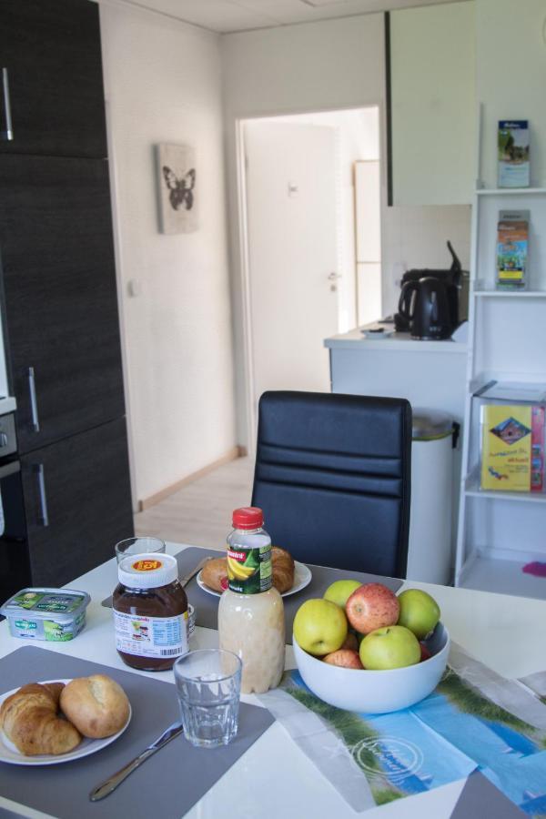 Fewo Maschblick Schwarmstedt Zewnętrze zdjęcie
